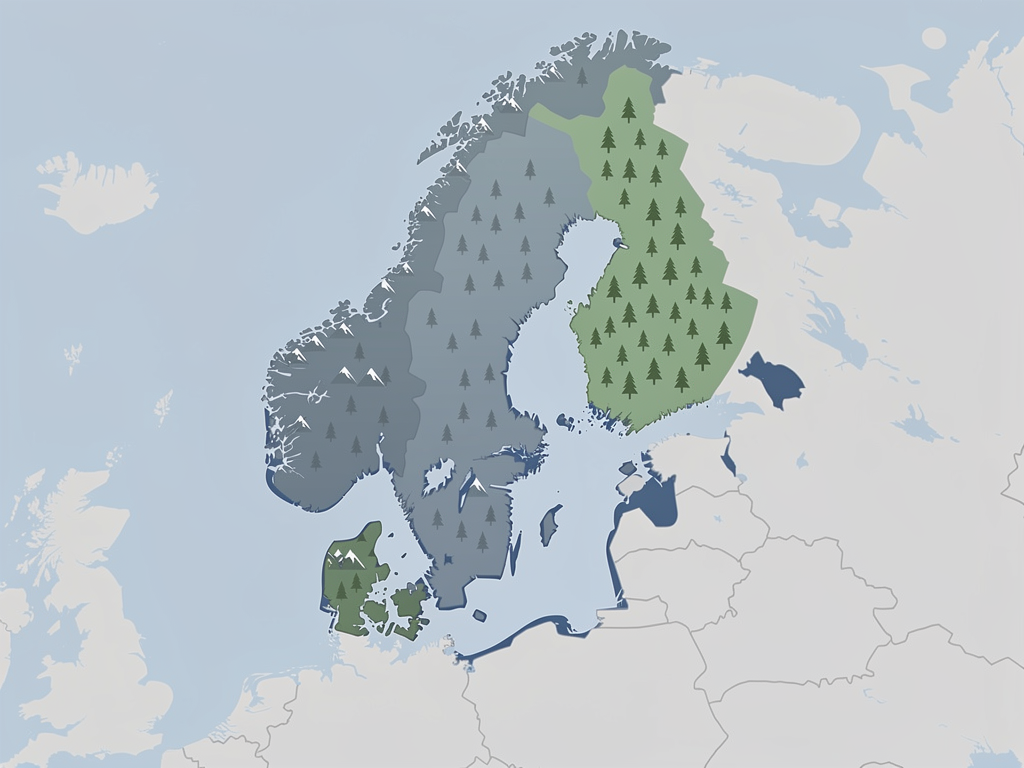 Who Were the Vikings?
